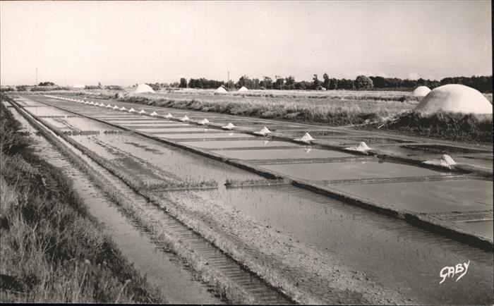 Ile de Re Marais Salants