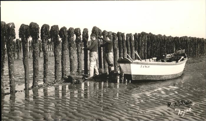 Boyardville Recolte des Moules de Bouchots