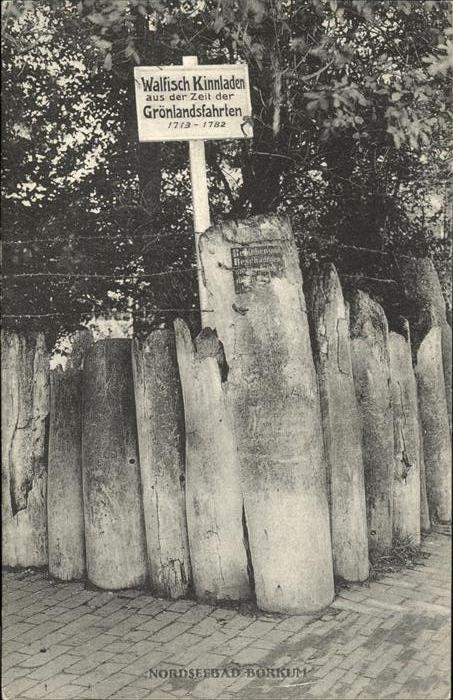 Borkum Walfisch Kinnladen
