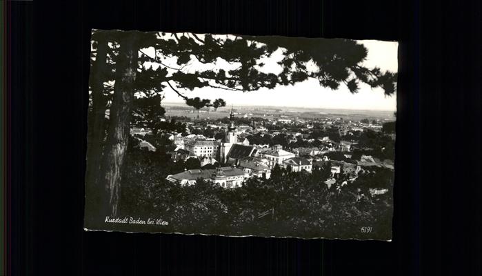 Baden Wien Panorama