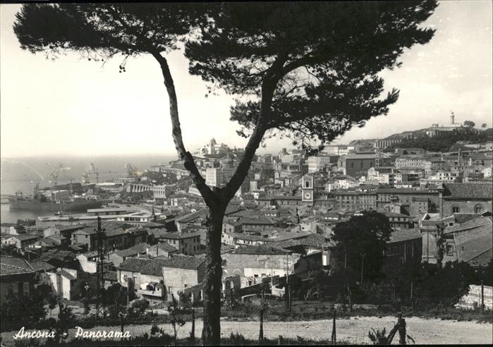 Ancona Marche Panorama