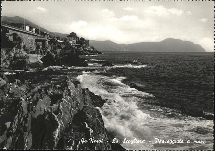 Nervi