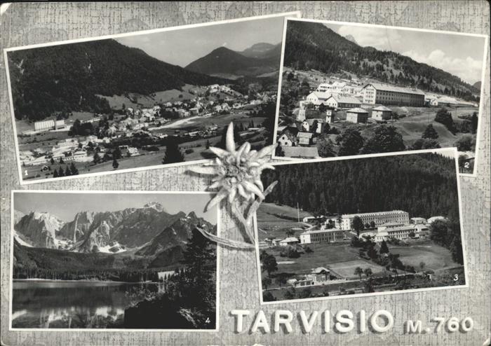 Tarvisio