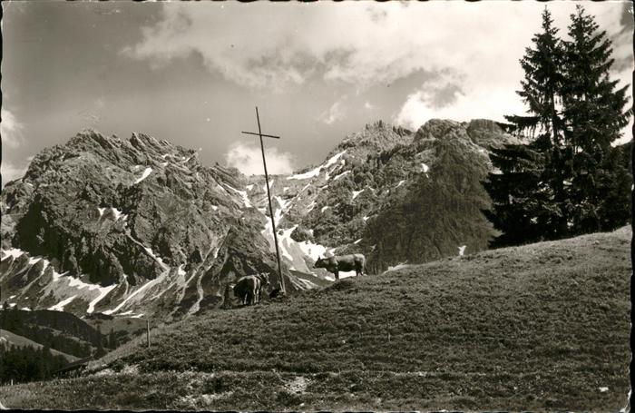 Mittelberg Kleinwalsertal Wildental Schafalpenkoepfen