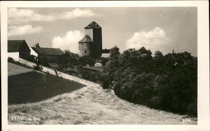 Tynec nad Sazavou Burg