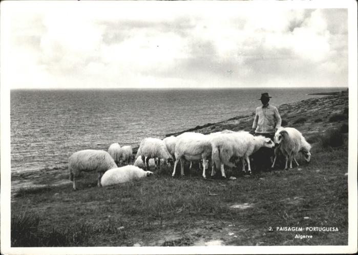 Schafe Hirte Portugal