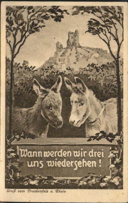 Esel Tiere Vers