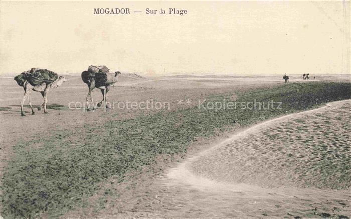 Mogador Maroc Plage Kamele Strand Wueste Kueste