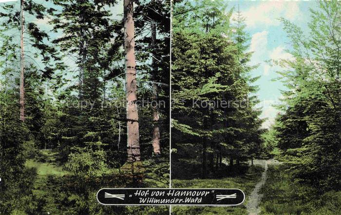 Wittmunder Wald Wittmund Niedersachsen Hof von Hannover