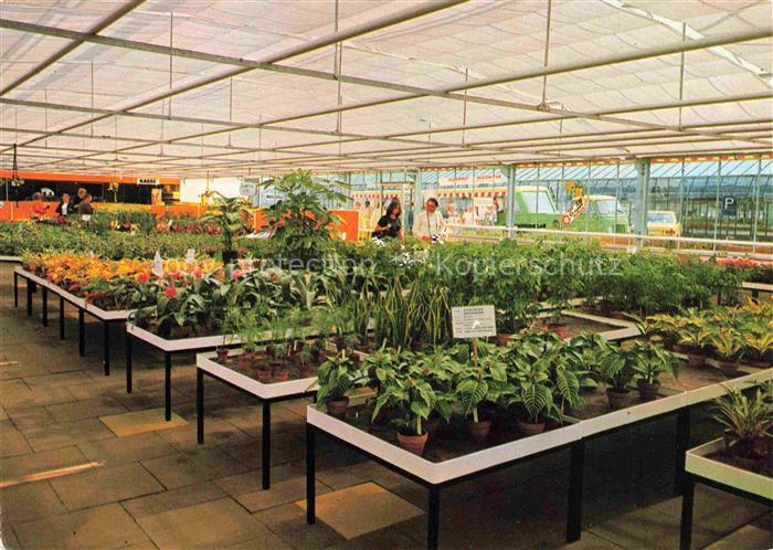 Wiesmoor Aurich Niedersachsen Blumencenter