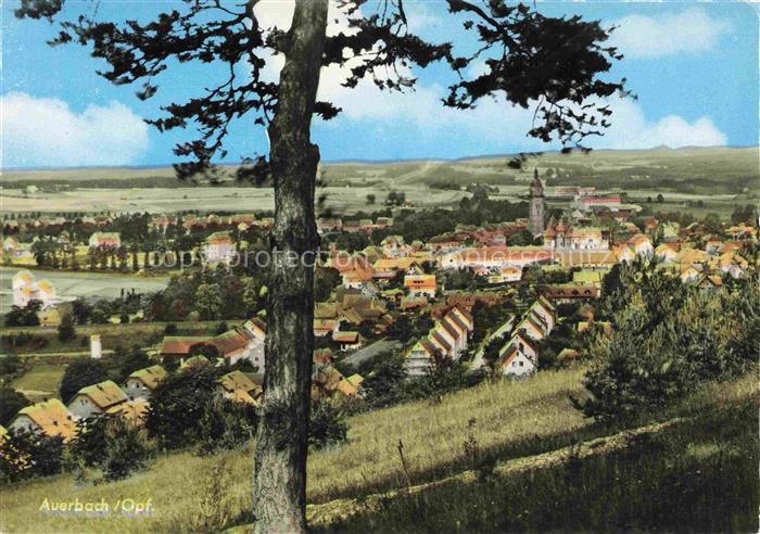 Auerbach Oberpfalz Amberg-Sulzbach Bayern Panorama