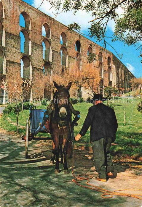 Elvas Portalegre PT Aqueduto da Amoreira Exlibris da Cidade
