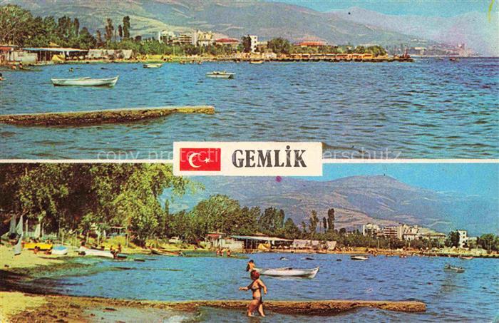 Gemlik TK Kumia Orman Kampi'ndan iki ayri goeruenues