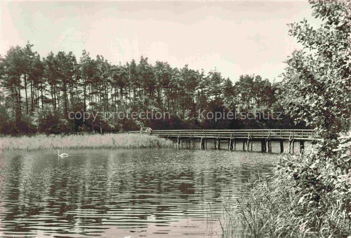 Prerow  Ostseebad Darss Mecklenburg-Vorpommern Bruecke zum Strand