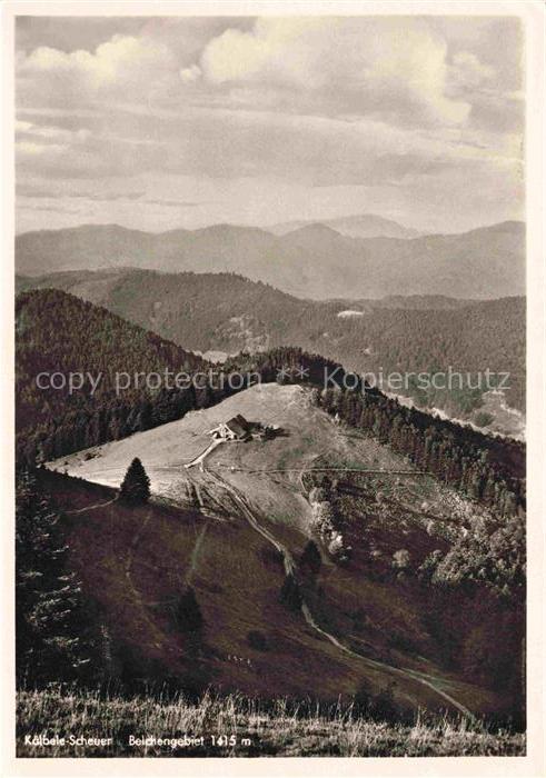 Kaelbelescheuer Almwirtschaft Muenstertal Breisgau-Hochschwarzwald BW Belchengeb
