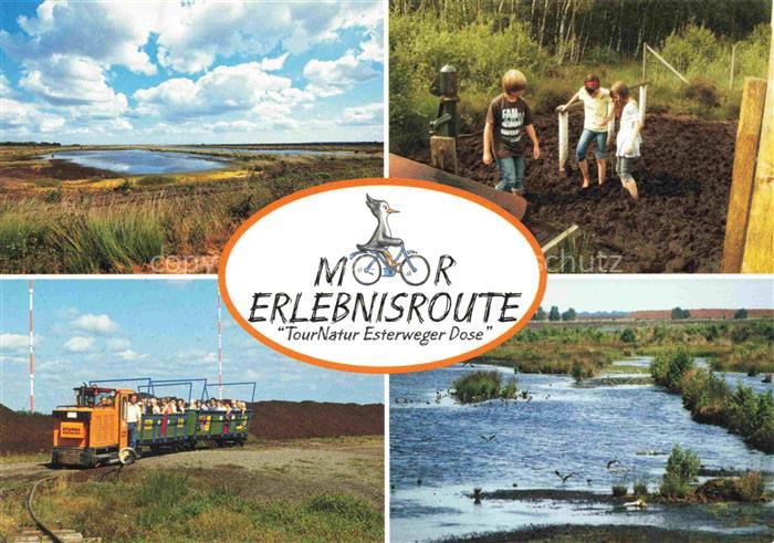 Esterweger Dose Esterwegen Emsland Niedersachsen Moorerlebnisroute Tour Natur Ba