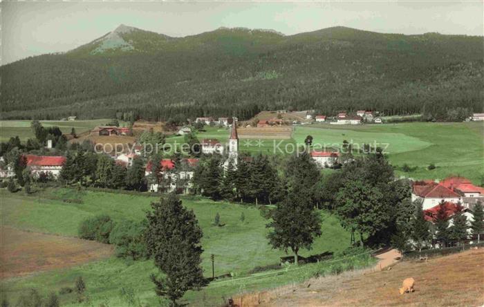Lohberg Lam Bayern Panorama