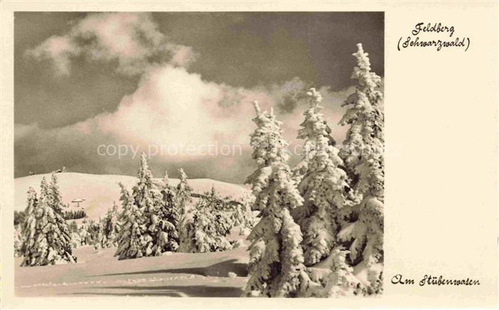 Feldberg 1450m Schwarzwald BW Am Stuebenwasen