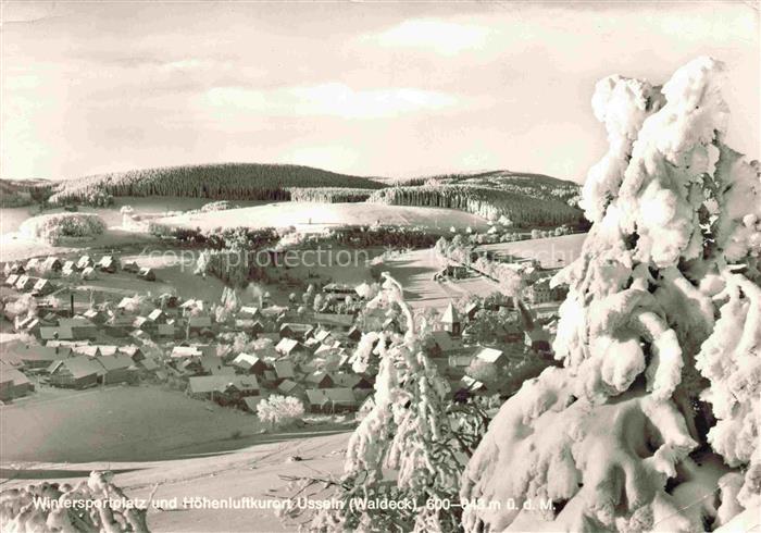 Usseln Willingen Waldeck-Frankenberg Hessen Winterpanorama