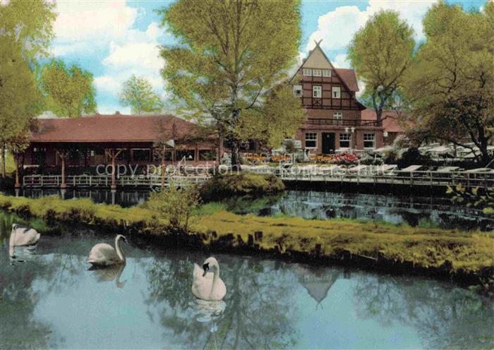 Visbek Vechta Niedersachsen Landgasthof Engelmanns Baeke Schwanenweiher