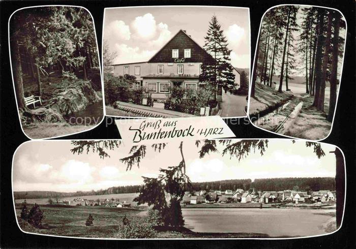 Buntenbock Oberharz Goslar Niedersachsen Hotel zur Tanne Cafe Waldpartien Panora