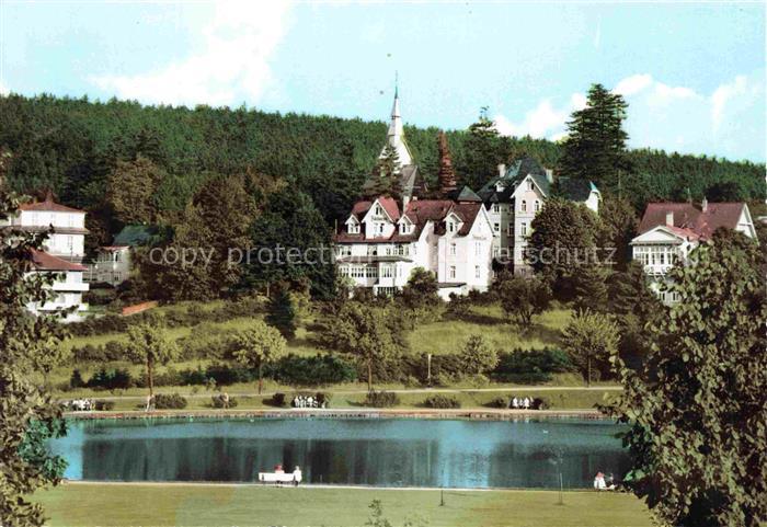 Hahnenklee-Bockswiese Harz Hotel Pension Victoria-Luise Schwanenteich