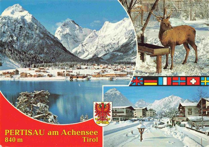 Pertisau Achensee Tirol AT Seepanorama Hirschfuetterung Strassenpartie im Winter