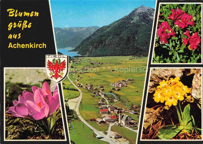 Achenkirch Achensee Tirol AT mit Seekarspitze Panorama Alpenflora Fliegeraufnahm