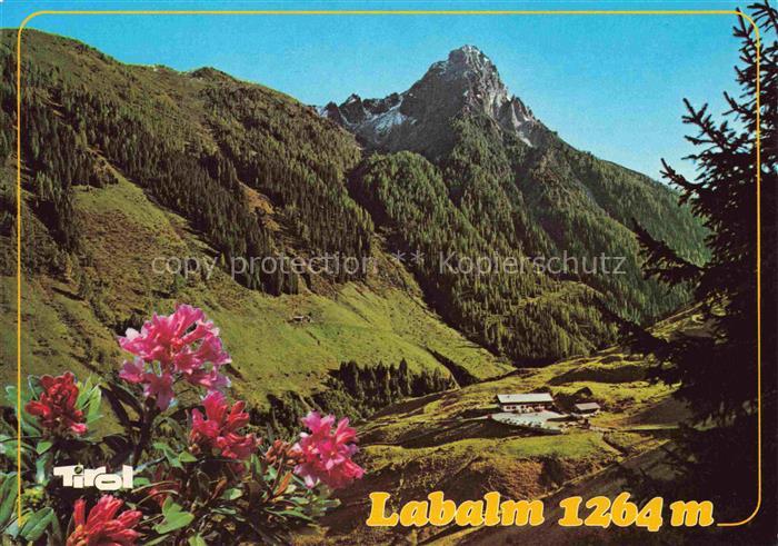 Aschau Kitzbuehler Alpen Tirol AT Jausenstation Labalm mit gr Rettenstein