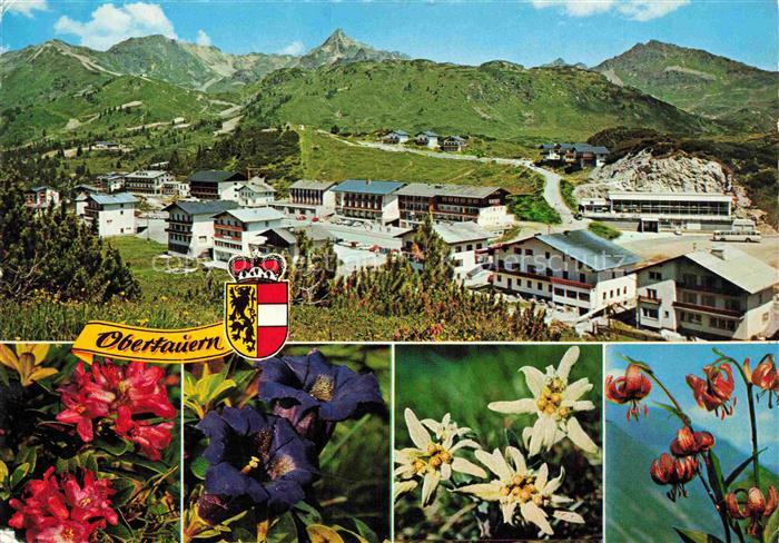Obertauern Pinzgau-Pongau AT Panorama Hallenbad Seekarspitze Alpenflora