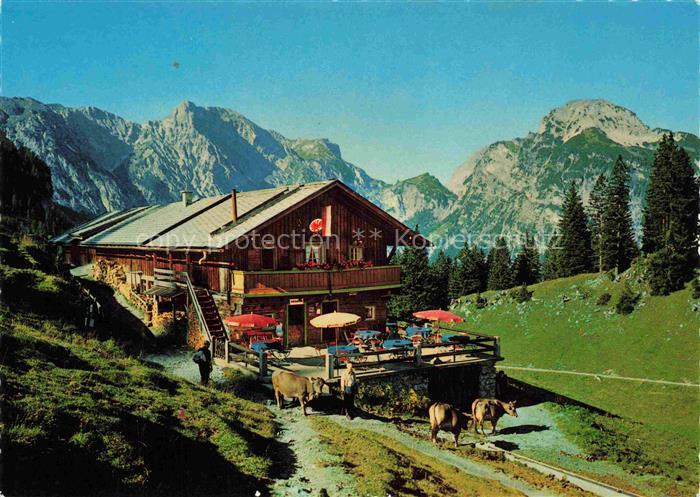 Baerenbadalpe 1447m Pertisau Achensee Tirol AT Panorama mit Ochsenkar Hahnenkamm
