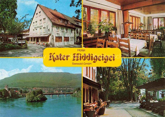 Bad Saeckingen BW Hotel Kater Hiddigeigei Gastraum Rheinpartie Strassencafe