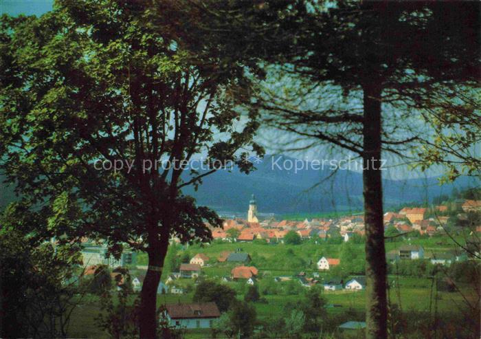 Waldmuenchen Cham Bayern Panorama