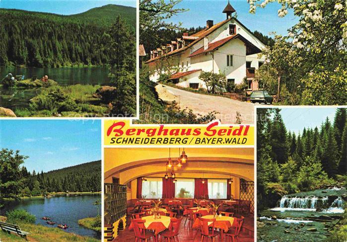 Schneiderberg Lohberg Cham Bayern Berghaus Seidl Gastraum Gondelteich Stauwehr