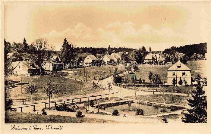 Hahnenklee-Bockswiese Harz Dorf Haeuser Teich Bruecke Baeume Wald Wiesen