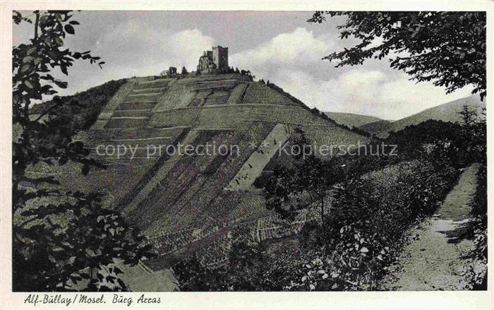 Burg Arras Alf Bullay Mosel Weinberge Burgruine Huegel Baeume
