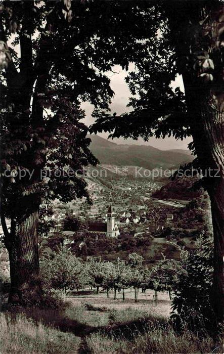 Obertsrot Gernsbach Murgtal BW Walddurchblick Baeume Tal Bach Wald