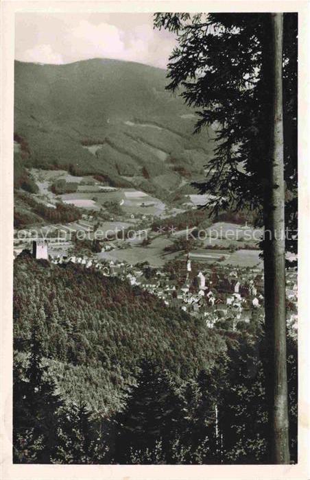 Waldkirch Breisgau Elztal Baden BW Kastelburg Kandel Ortsansicht Schwarzwald Tan