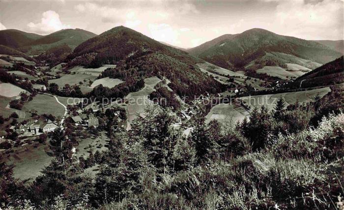 Obersimonswald Schwarzwald Bergtal Waldwiesen Huegel Griessbach Naturlandschaft