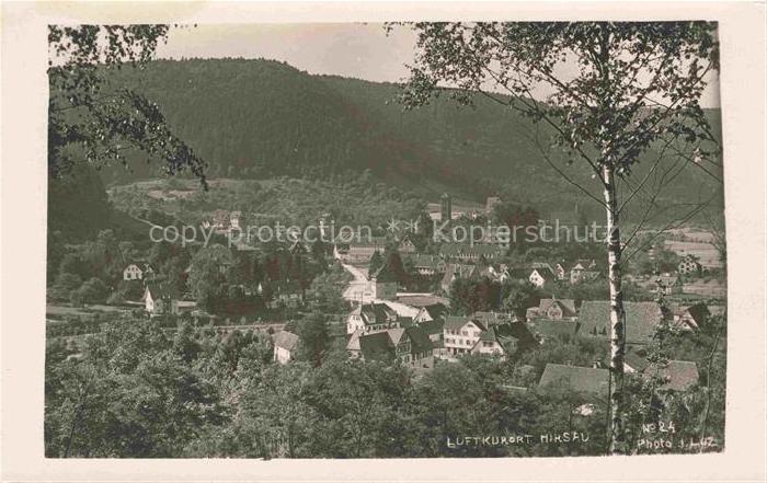 Hirschhorn Neckar Hessen Luftkurort Talblick Flussbiegung Staedtchen Kirchturm W