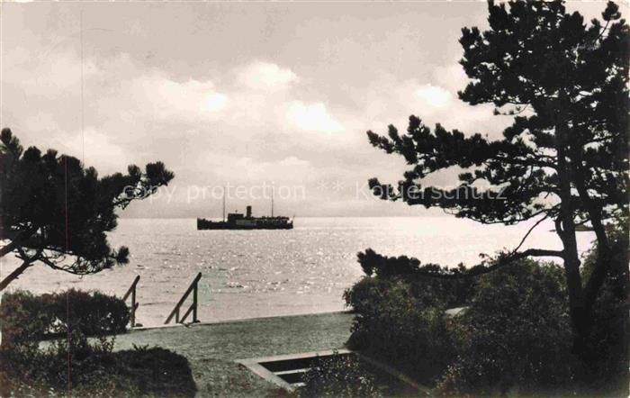 WYK  FoeHR Nordfriesland Nordsee Dampfer Kiefern Steg Meeresblick Wellenspiegelu