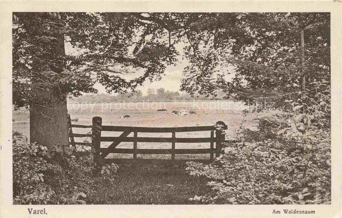 Varel Jadebusen Friesland Niedersachsen Waldesrand Holzgatter Weide Eichen Flach