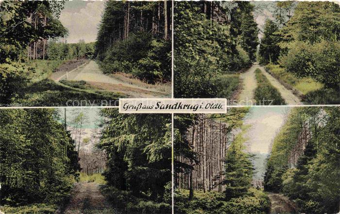 Sandkrug Oldenburg Hatten Niedersachsen Gasthaus-Sandkrug Waldwege Kiefernwald L