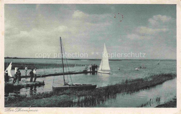 Lemfoerde Diepholz Niedersachsen Duemmer-See Segelboote Steg Schilf Flachsee Boo