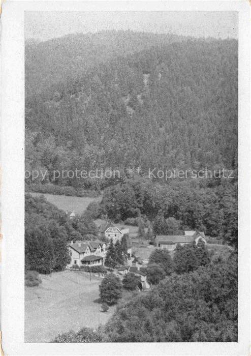 Wendefurth Harz Bodetal Altenbrak Sachsen-Anhalt Café-Grasshoff Bodetal Laubwald