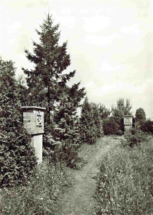 Braunshardt Weiterstadt Darmstadt Hessen Kreuzweg Kreuzwegstationen Nadelbaeume