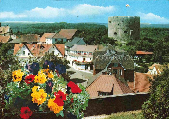 Lichtenberg Odenwald Bollwerk Burg Turm Dorf Haeuser Blumen Fischbachtal