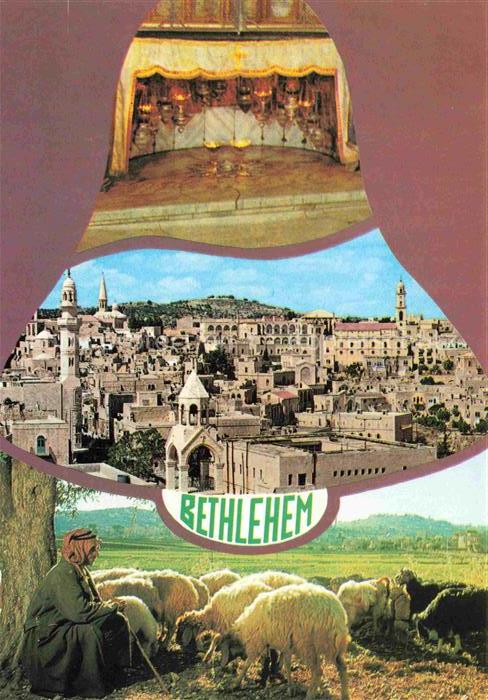 Bethlehem  Yerushalayim Israel Geburtskirche Stadtansicht Hirte Schafe Stadtmitt
