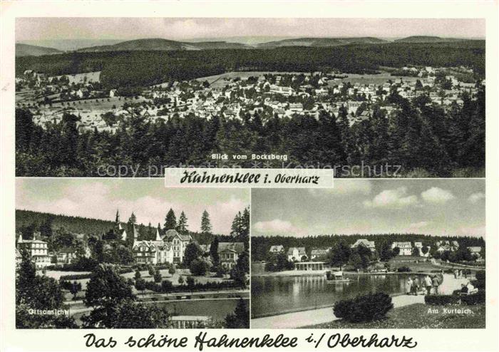 Hahnenklee-Bockswiese Harz Blick-vom-Bocksberg Ortsansicht Am-Kurteich Waldpanor