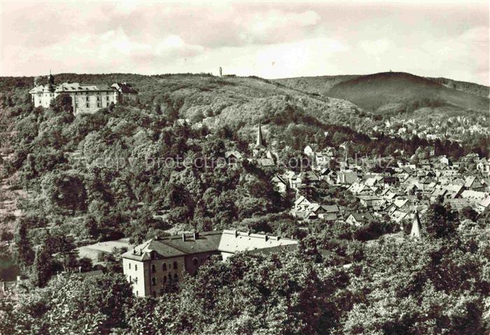 Blankenburg Harz Schloss Stadtpanorama Huegel Wald Daecher Altstadt Harz